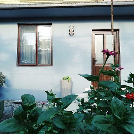 Rudolf Apartment Боржоми Екстериор снимка