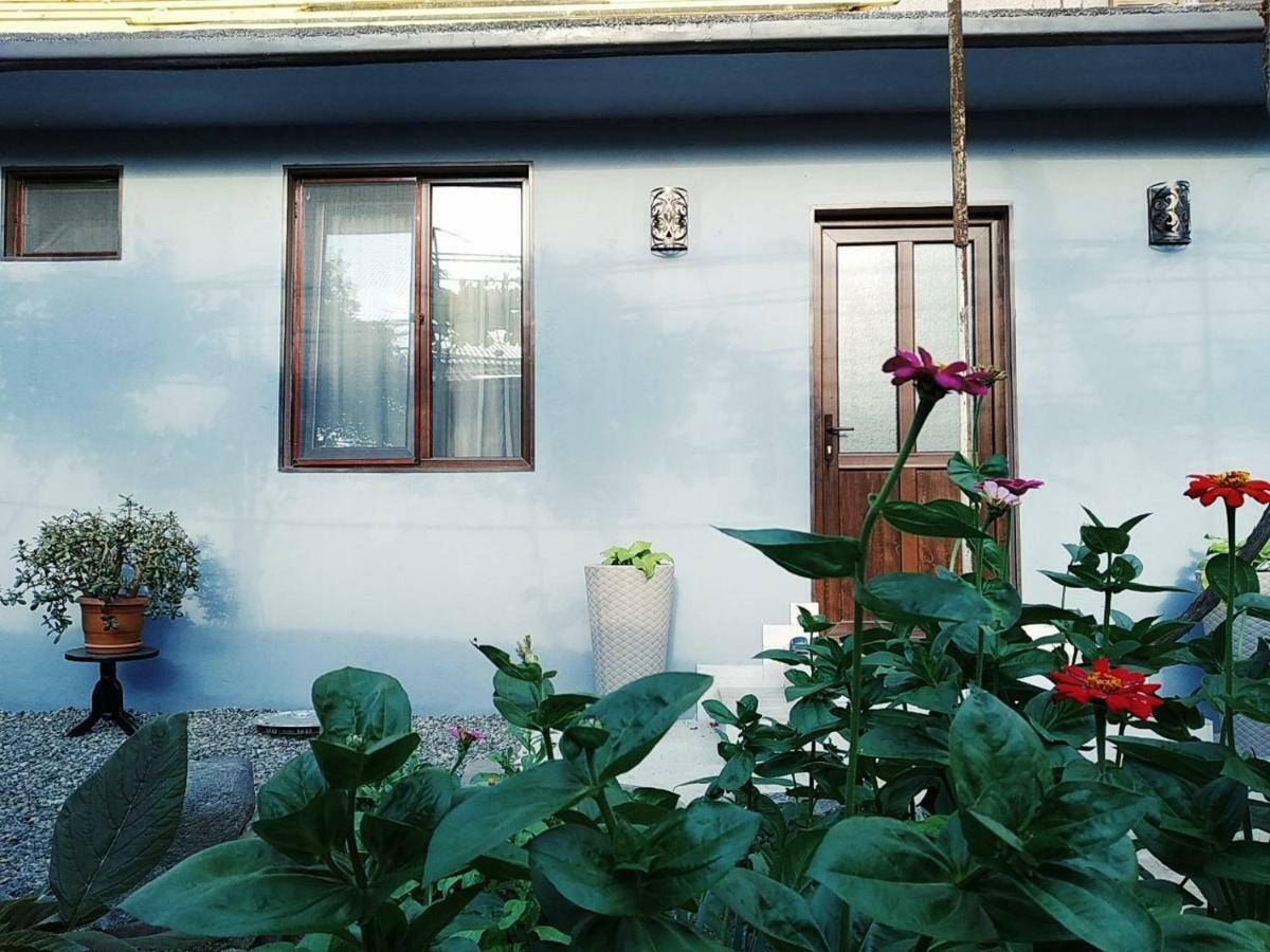 Rudolf Apartment Боржоми Екстериор снимка